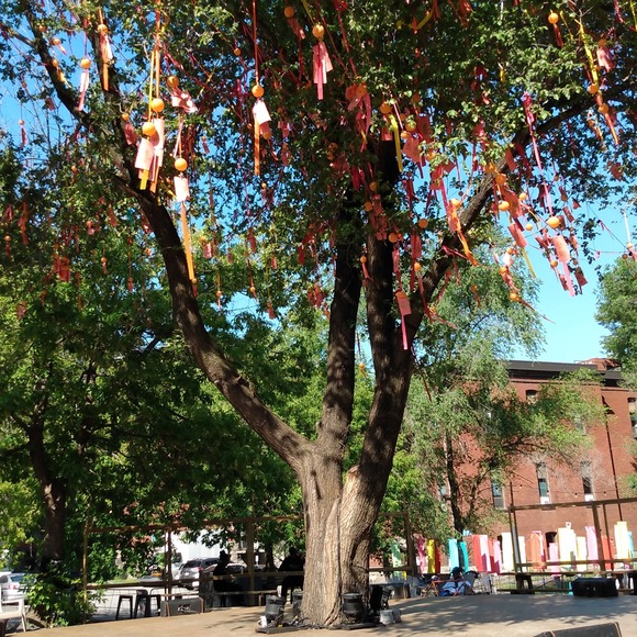 Meet your Posher, Jonathan - Picture 1 of 1